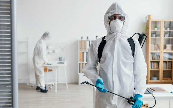 Professional Pest Control Service in Nairobi